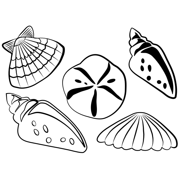 Sea shells vector illustration Free SVG