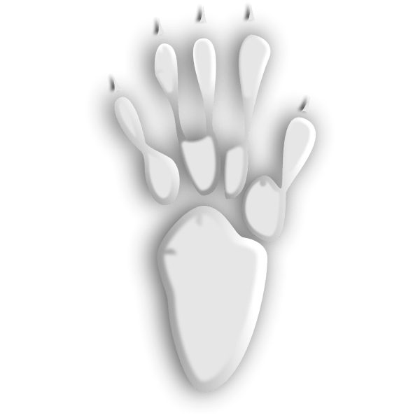 Animal tracks silhouette Free SVG