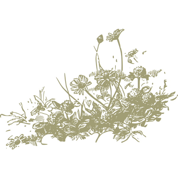 Wildflowers vector drawing Free SVG