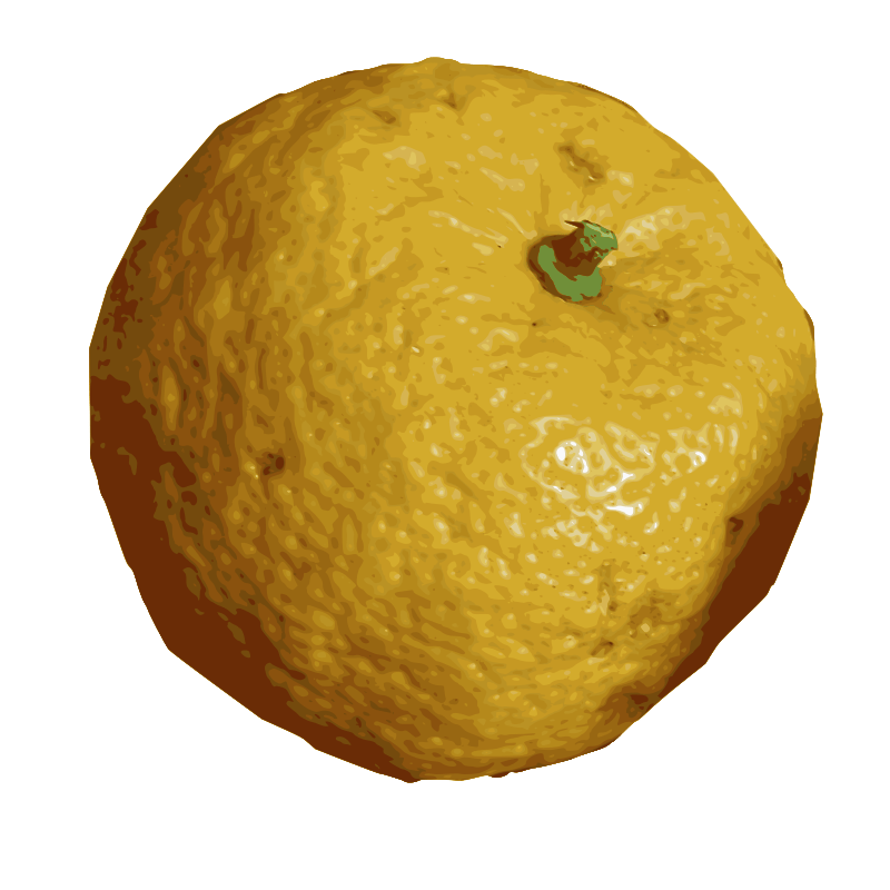 Yuzu citrus fruit Free SVG