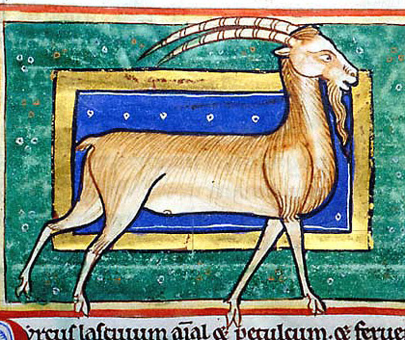 He-Goat, Morgan Library, MS M.81, Folio 40v.