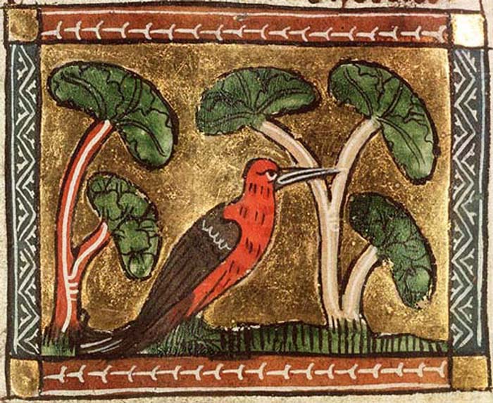 Woodpecker. Koninklijke Bibliotheek, KB, KA 16, Folio 98v.