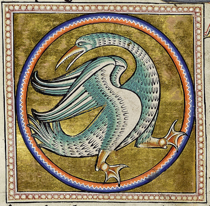 Halcyon.