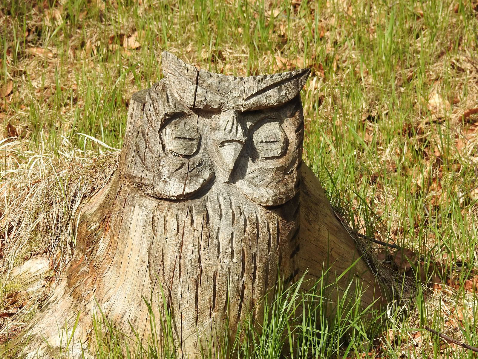 Forest Path Statues Part 2 Owls