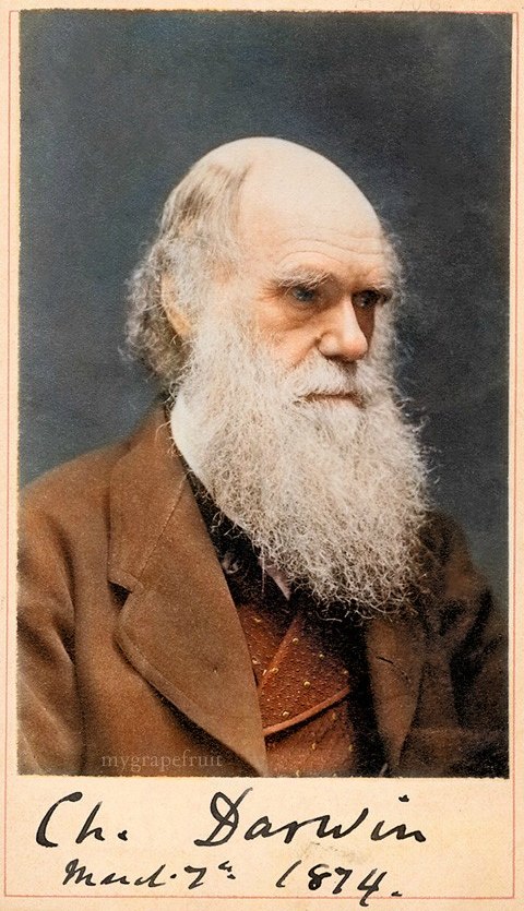 Colorized Darwin