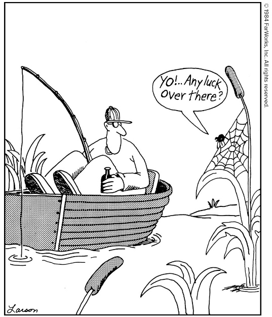 Gary Larson didn’t do enough cartoons with spiders in them