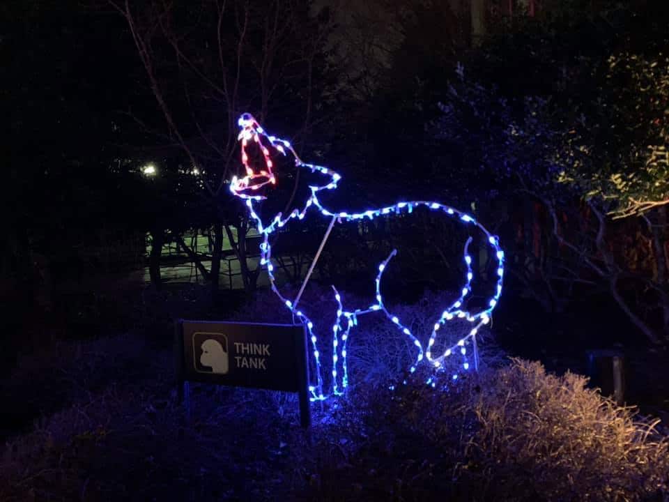 Smithsonian Zoolights Tickets and Visitor Information 2022