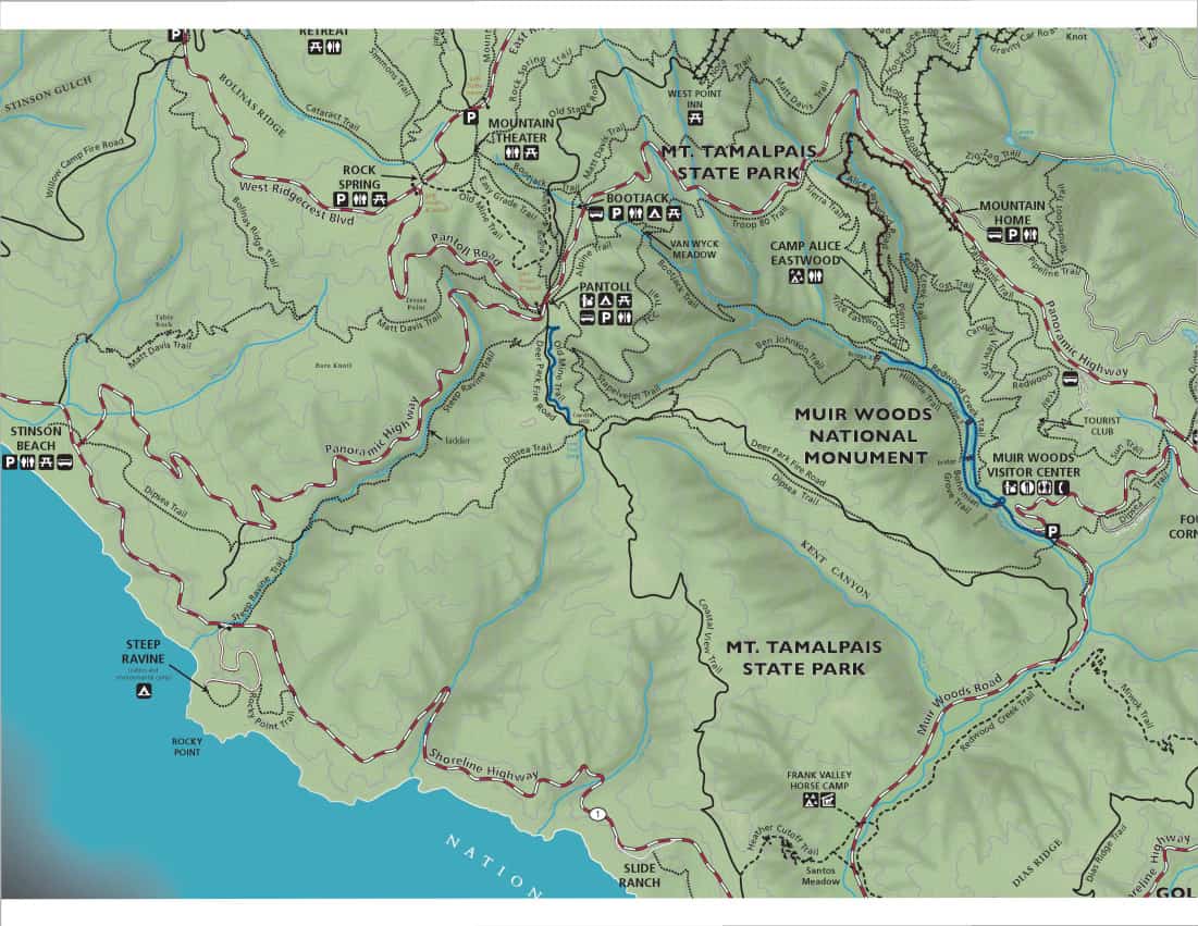 Muir Woods National Monument Visitor's Guide