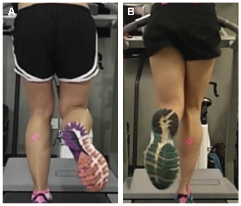 The (Not So Universal) Perfect Running Form Freetrail