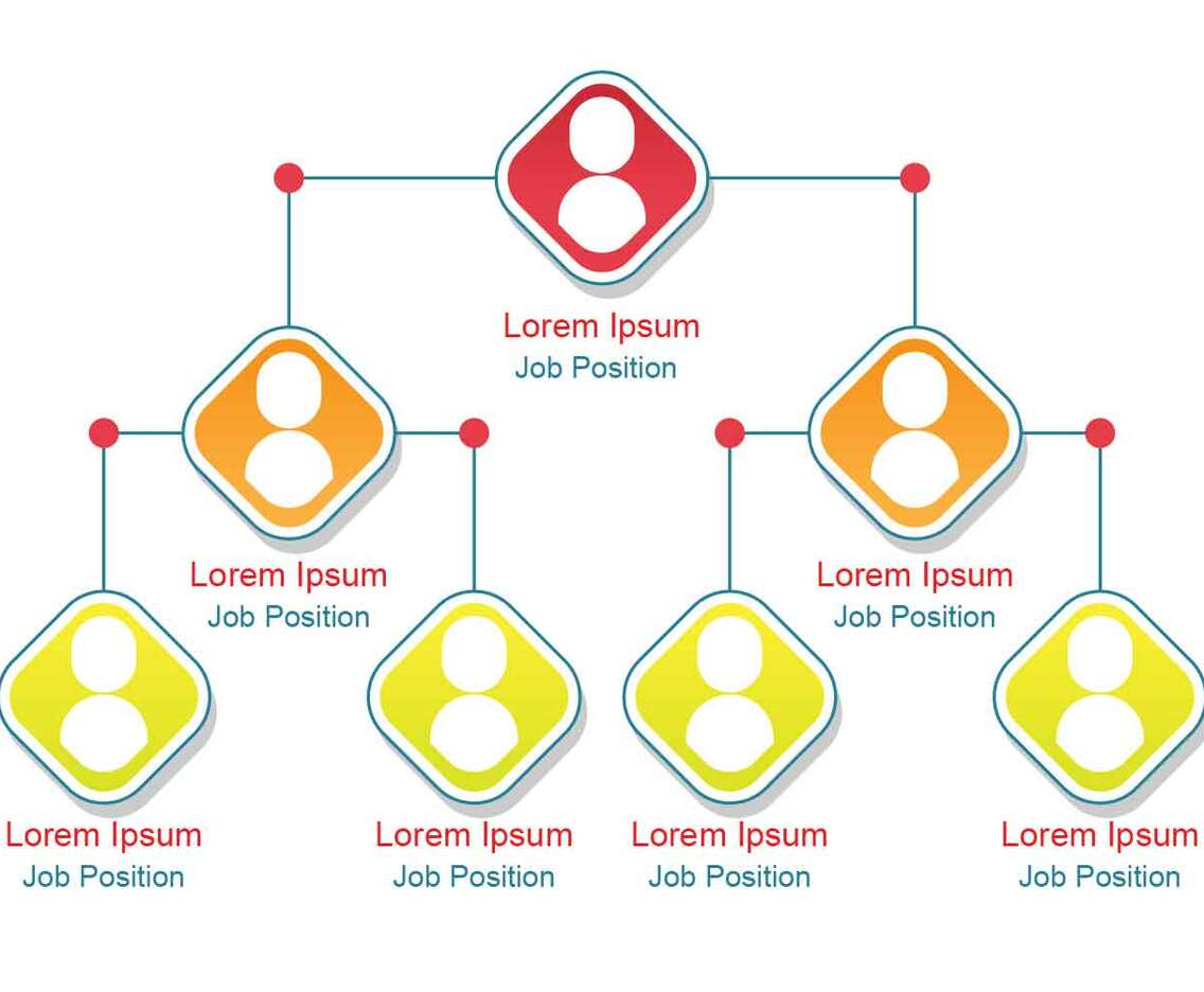 Business Hierarchy Organogram Chart(03)