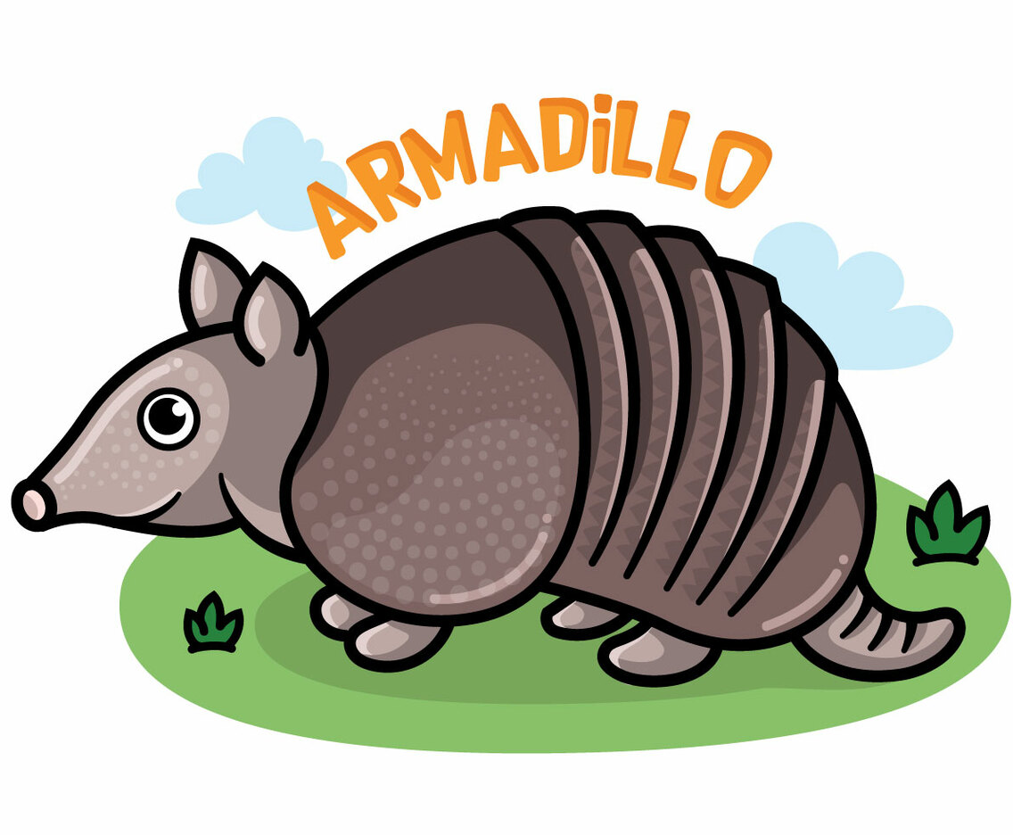 Armadillo Cartoon Freevectors