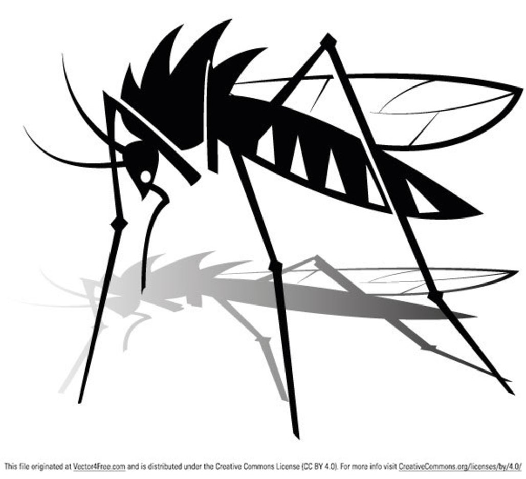 Free Mosquito Vector Graphics