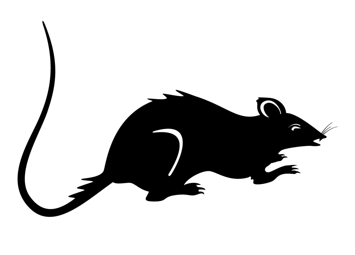 Rat Vector Image FreeVectors