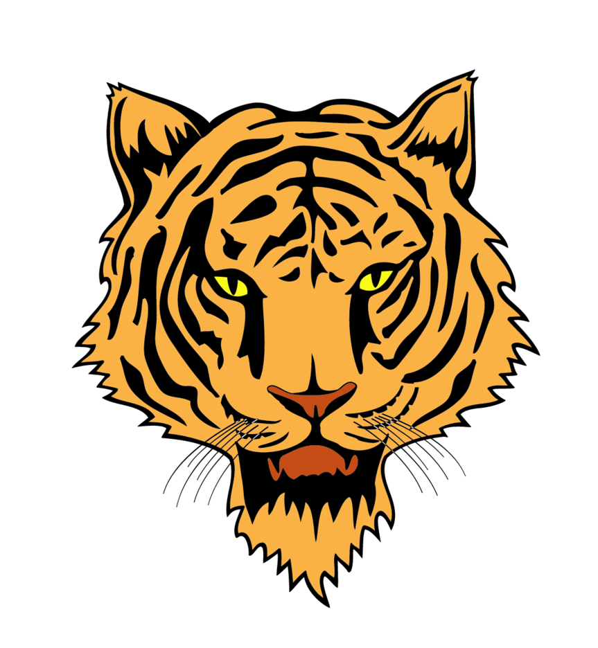 Tiger Head Vector FreeVectors