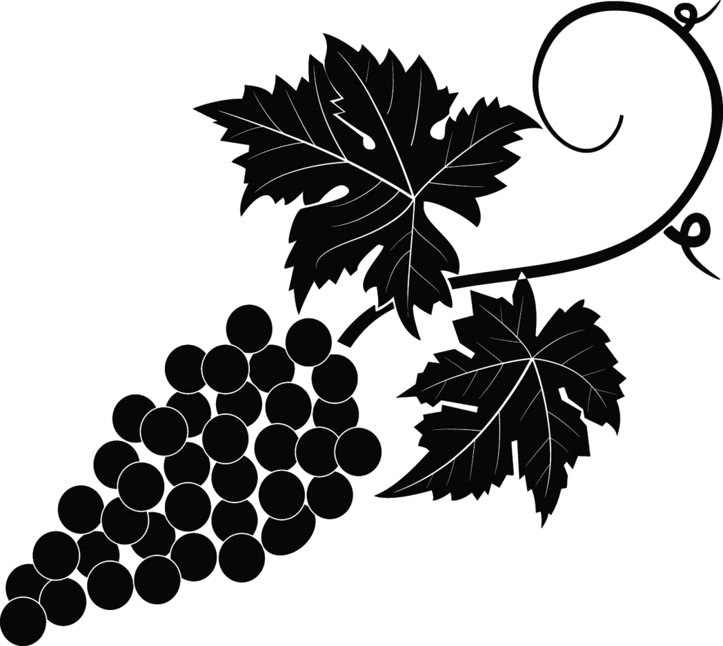 Grapevine Vector Image FreeVectors