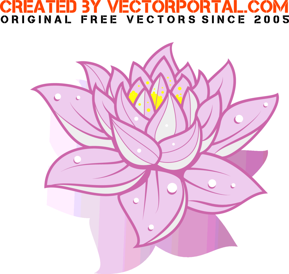 Free Vector Lotus Flower FreeVectors