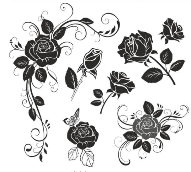 free vector rose Flower Vector CDR File Free Vector