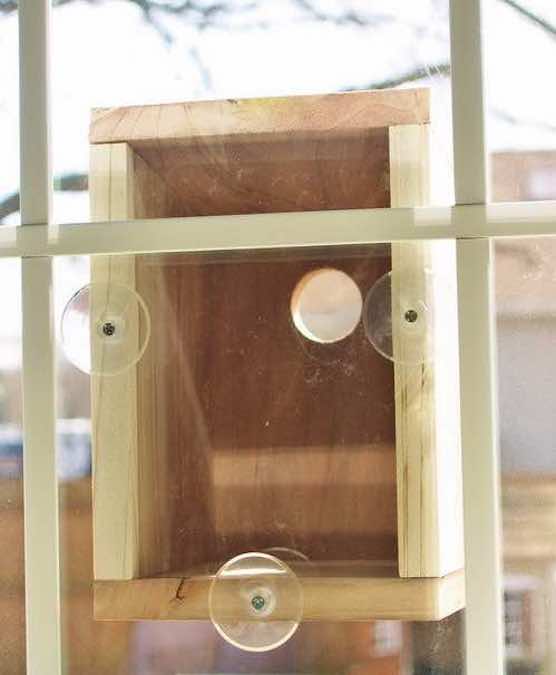 Window Bird House Free Woodworking