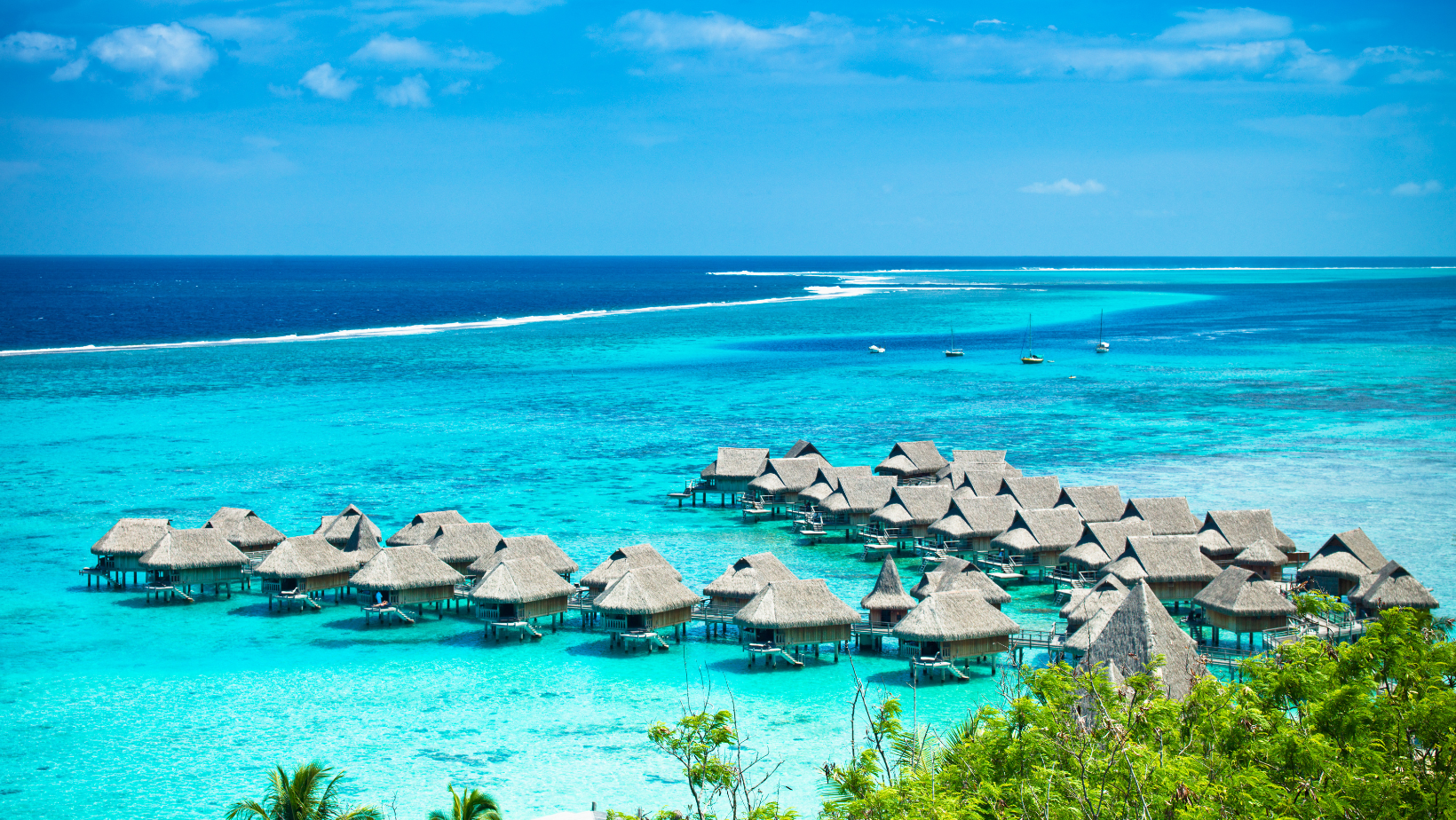 Explore Sustainable Living with Your Gateway to Eco(07)