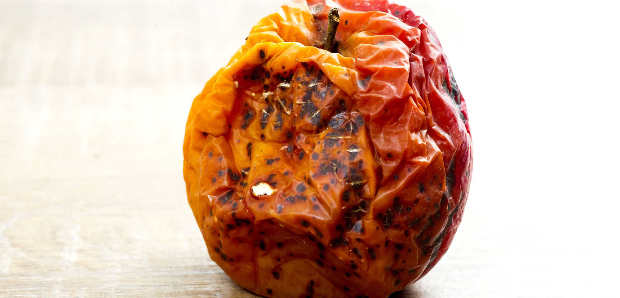 Problems With Freeze Drying Solutions for Better Freeze Drying Results