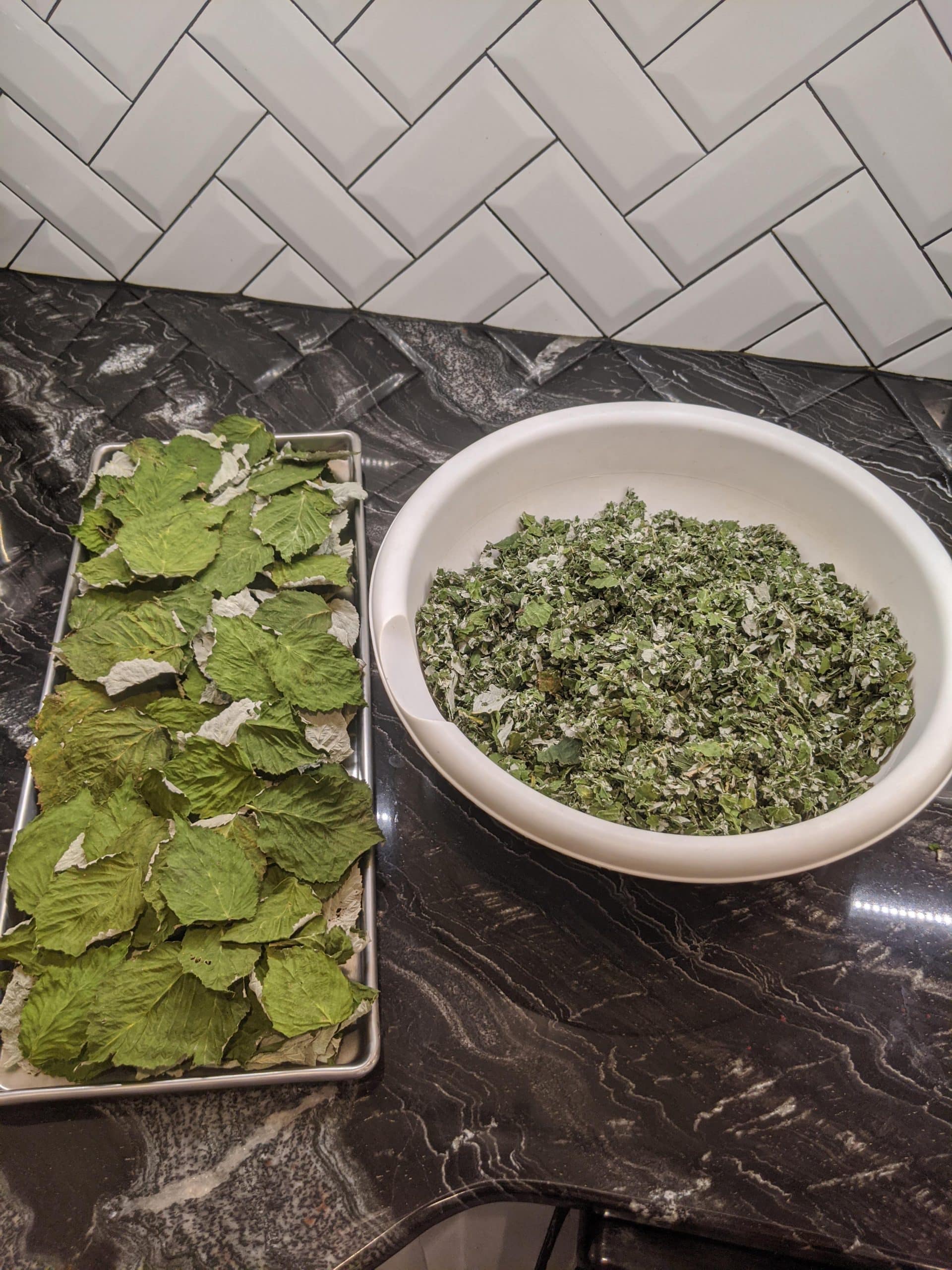 How to Freeze Dry Herbs for Medicinal Purposes Freeze Drying Mama