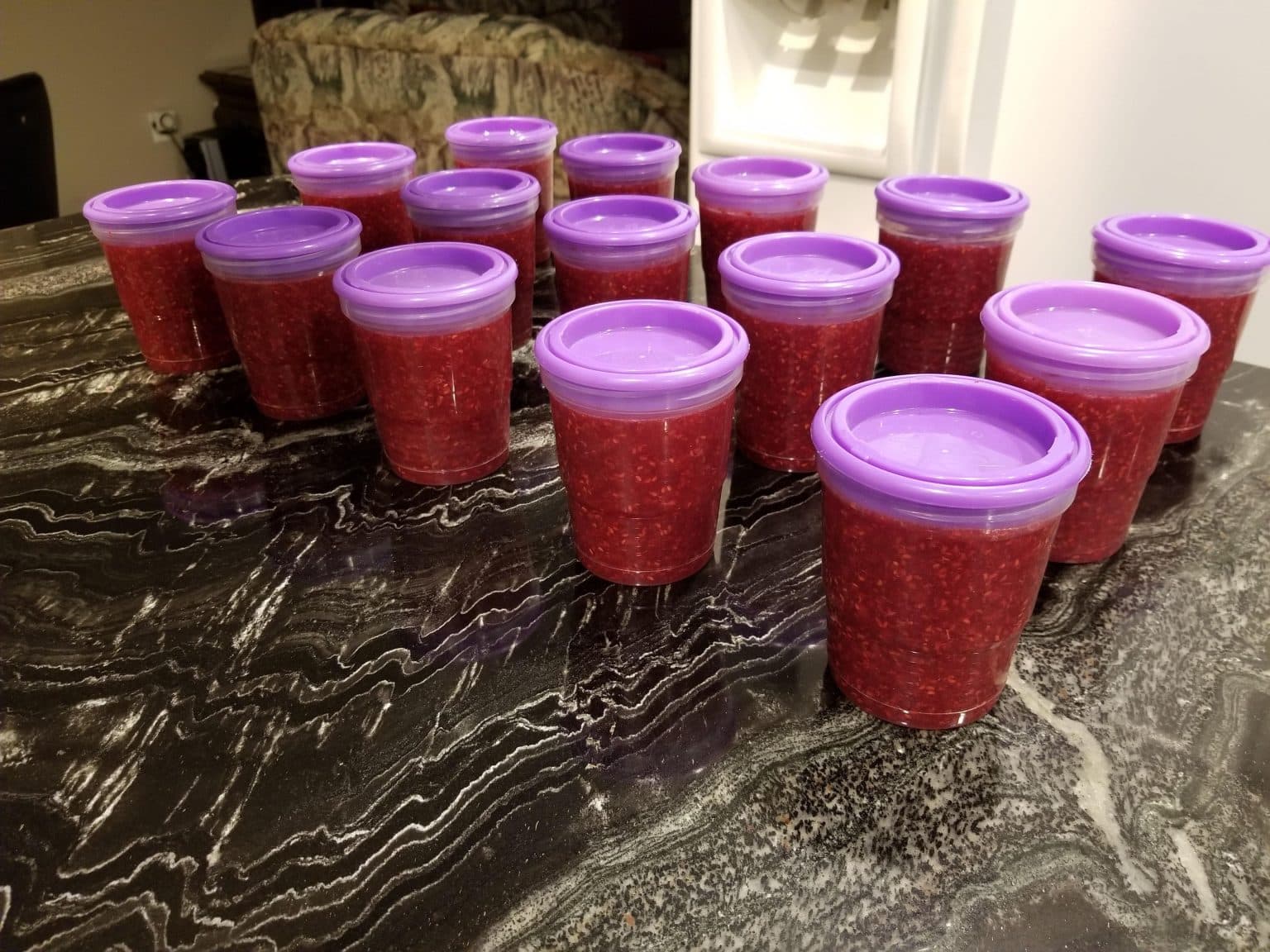 Freeze Drying Raspberries Freeze Drying Mama