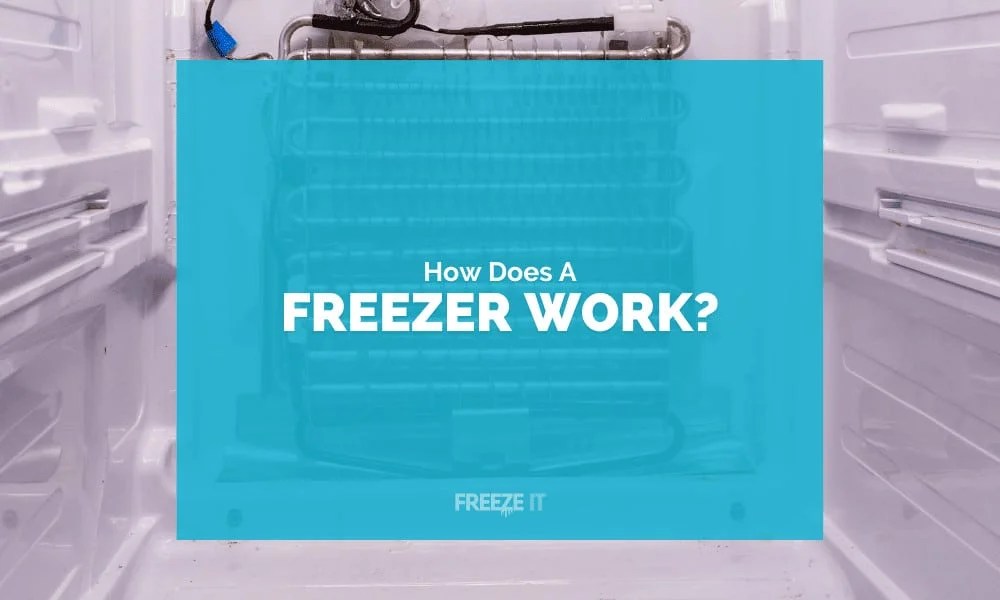 How Does a Freezer Work? Freeze It