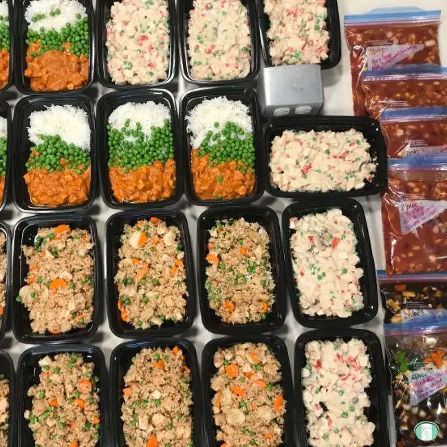 Best Containers For Freezing Individual Meals at Tommy Weekes blog