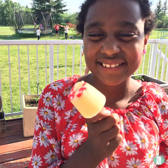 Homemade Pudding Pops Freezer Meals 101