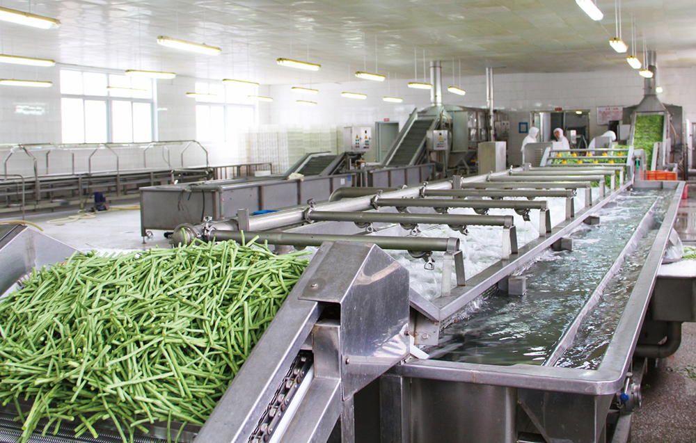 Fruit & Vegetable Products Freezing Devices Manufacturer Square