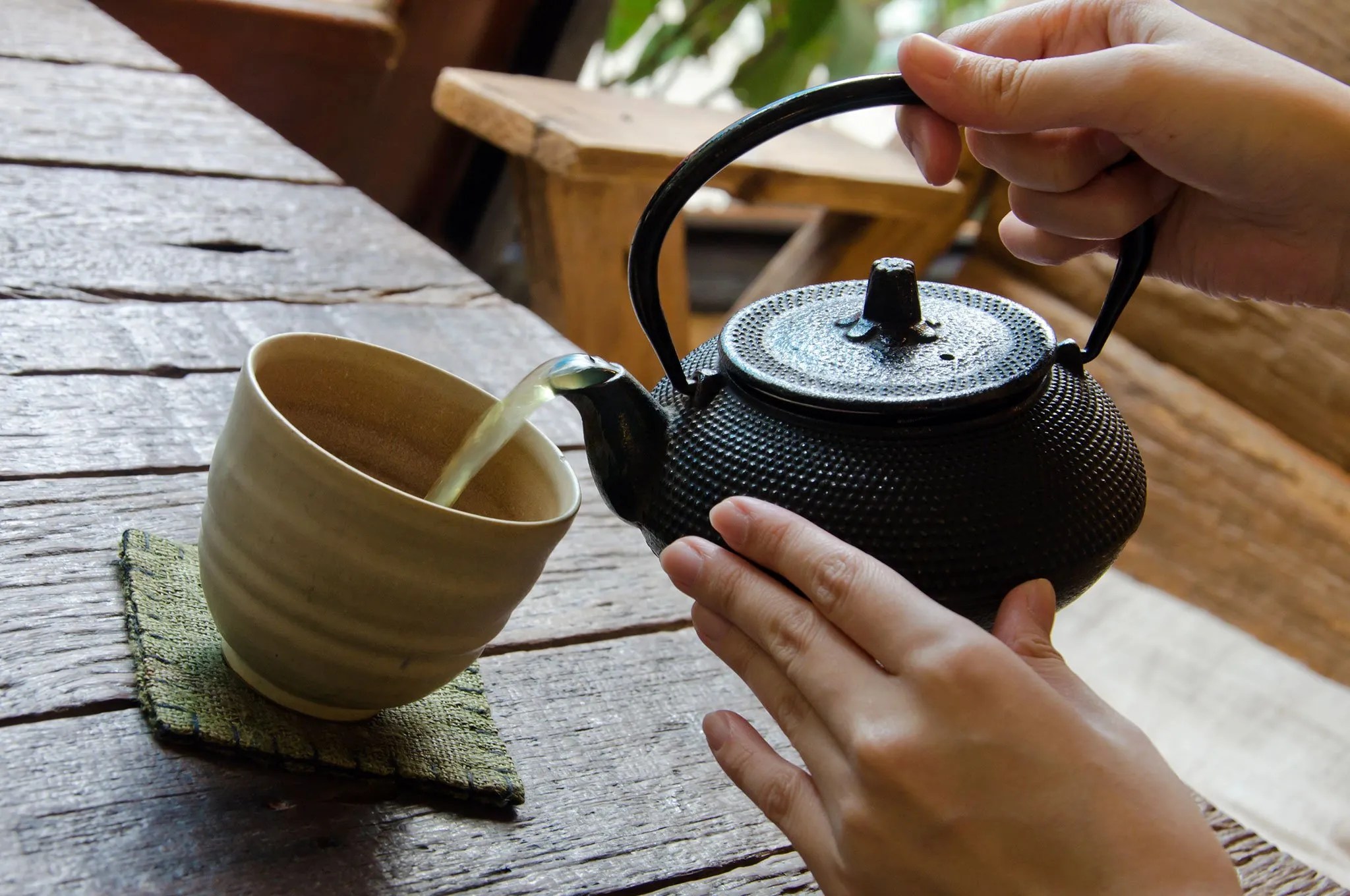 Try forest bathing in an old growth Ontario forest Freija