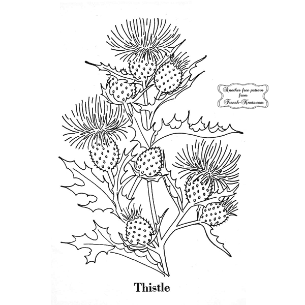 Scottish Highland Thistle Embroidery Patterns French Knots