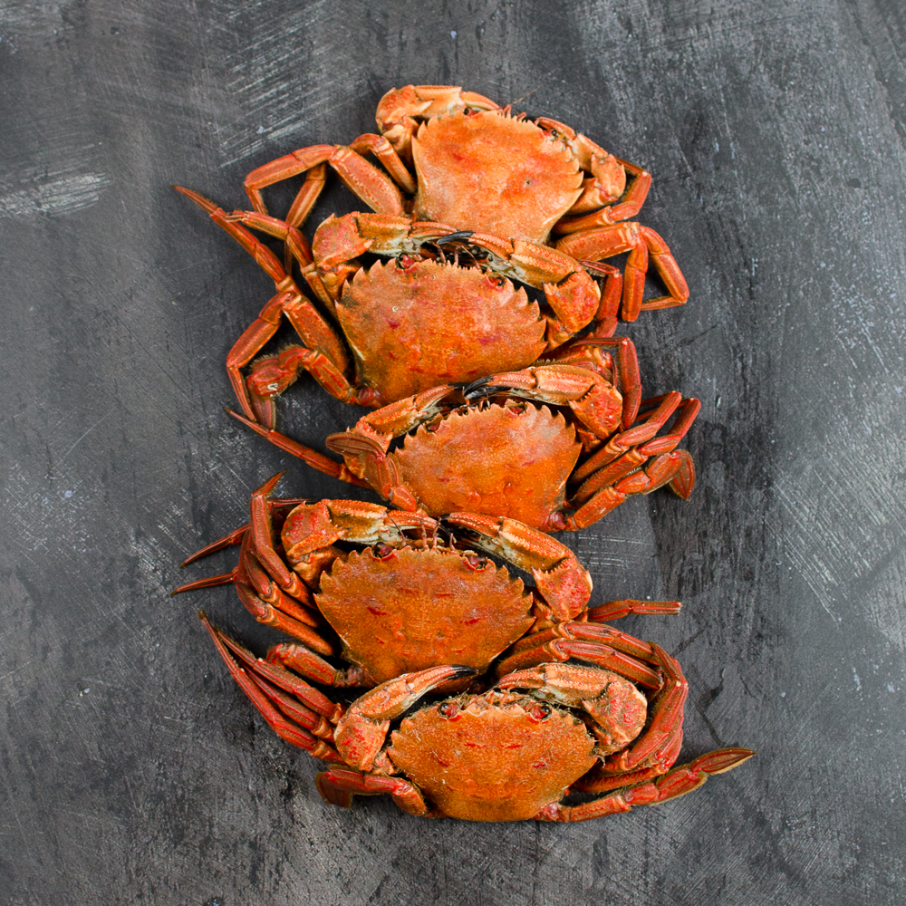 Cooked Necora Velvet Crab French District