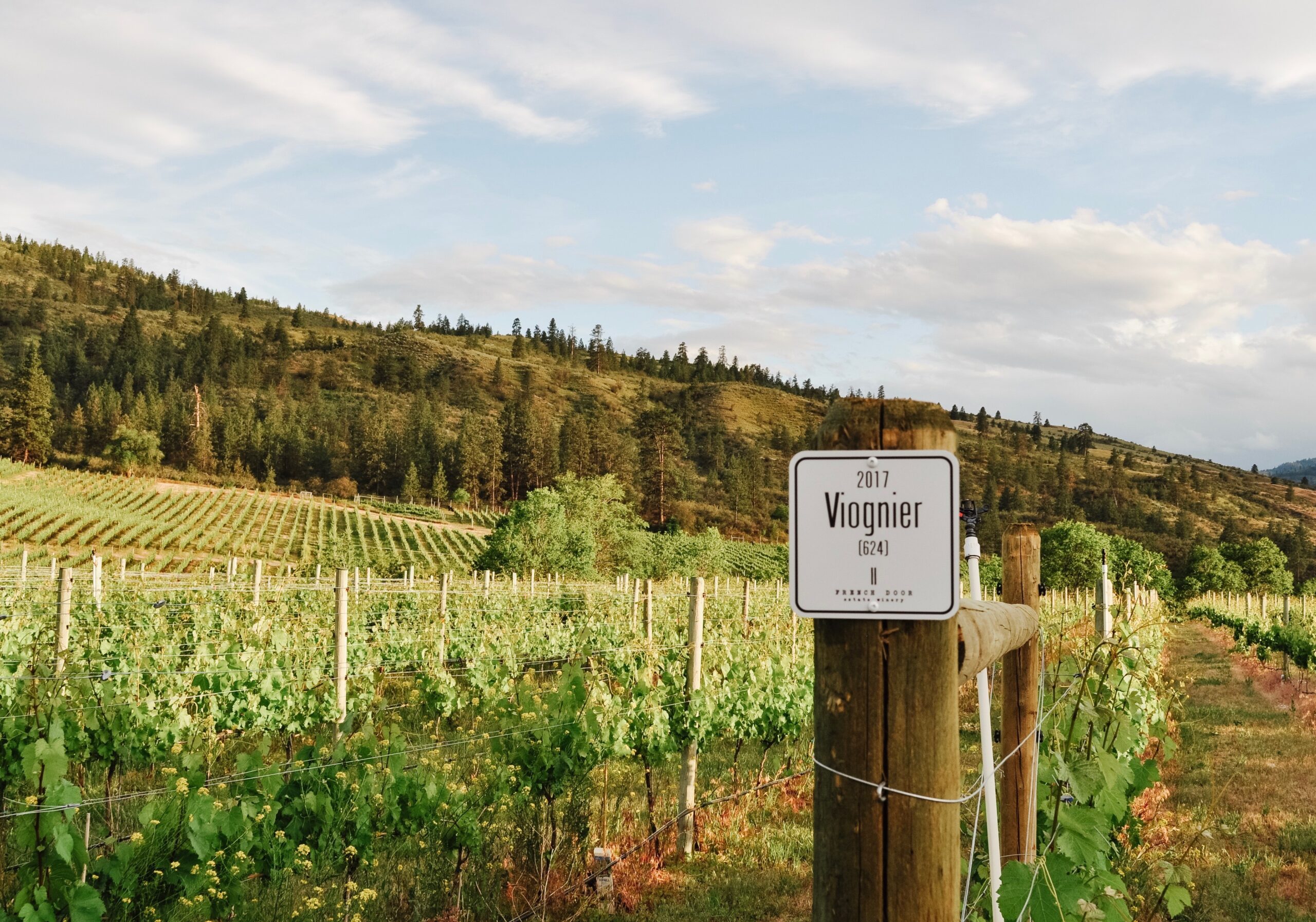 French Door Estate Winery French Door Estate Winery