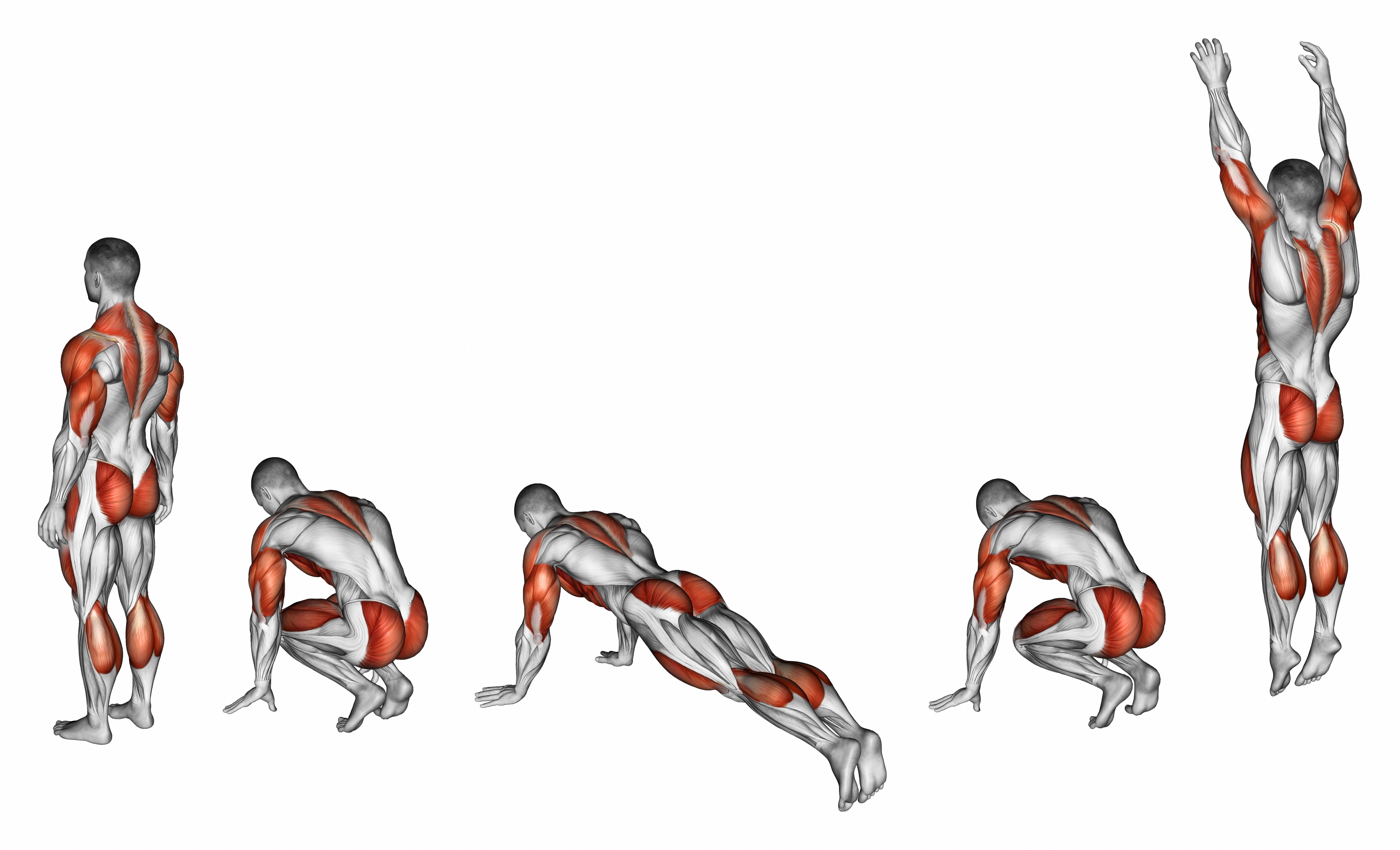 Burpees Exercise