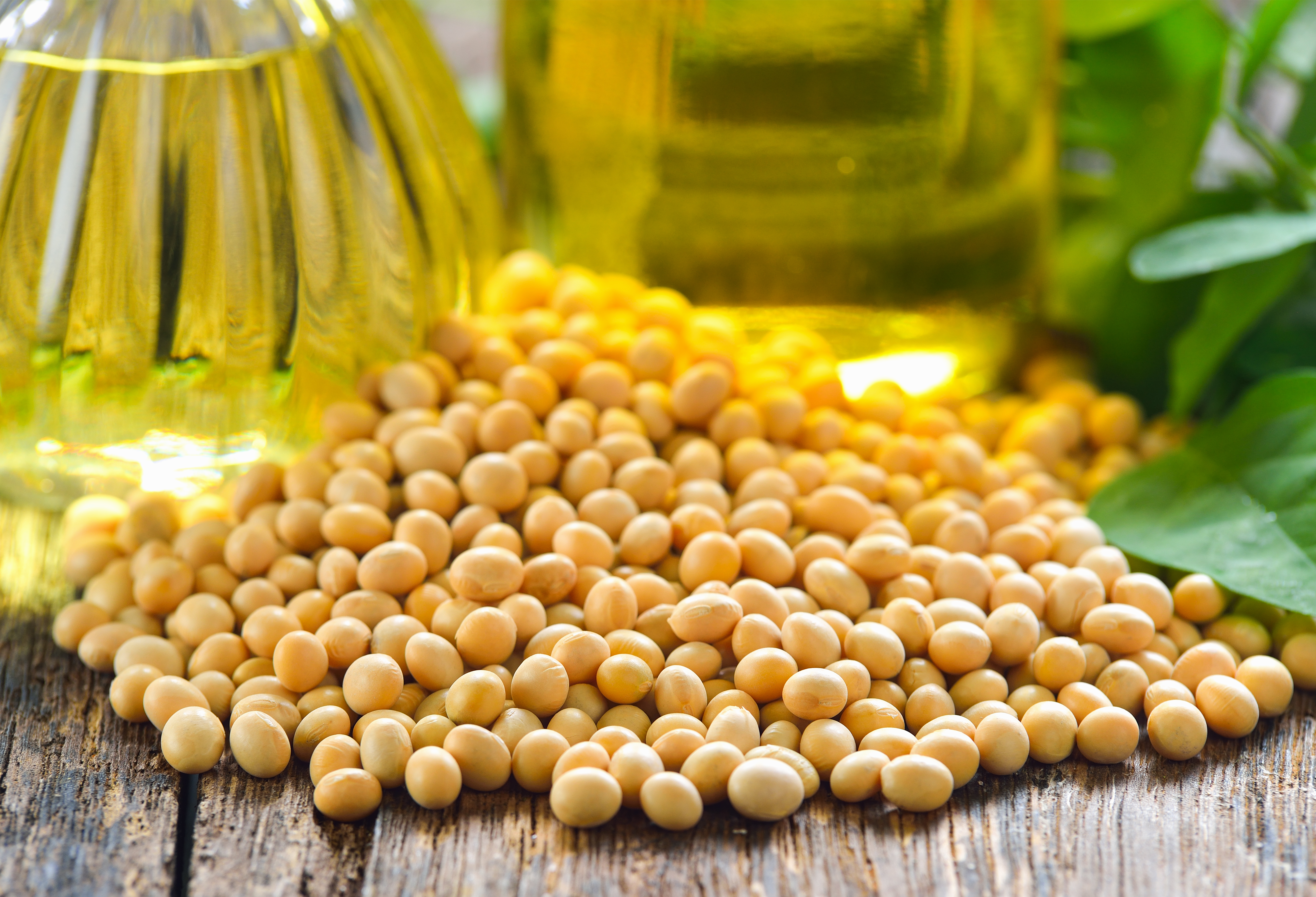 Is Soybean Oil Bad For You? | Life Health Fitness