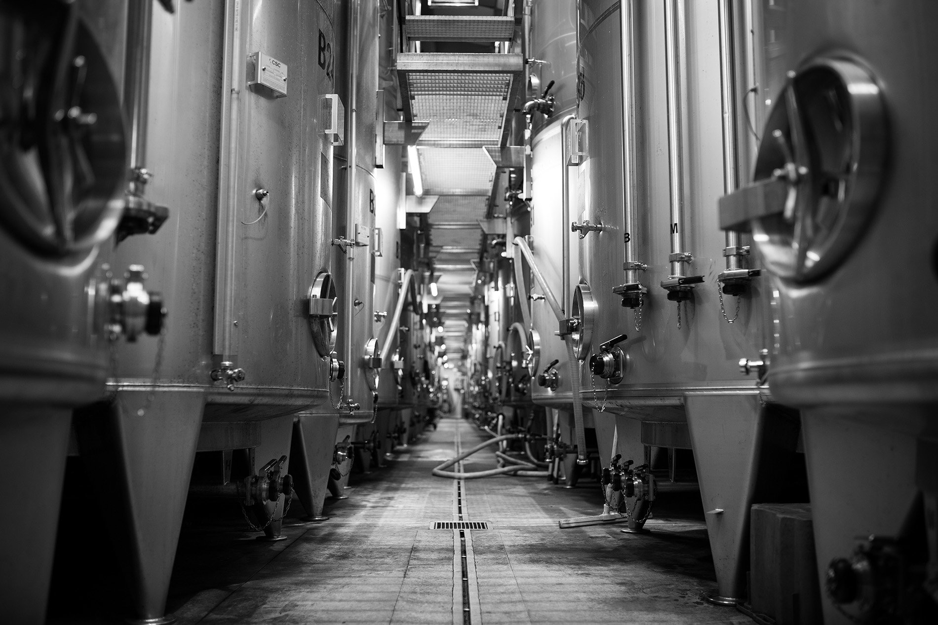 Philippe Viallet French Libation