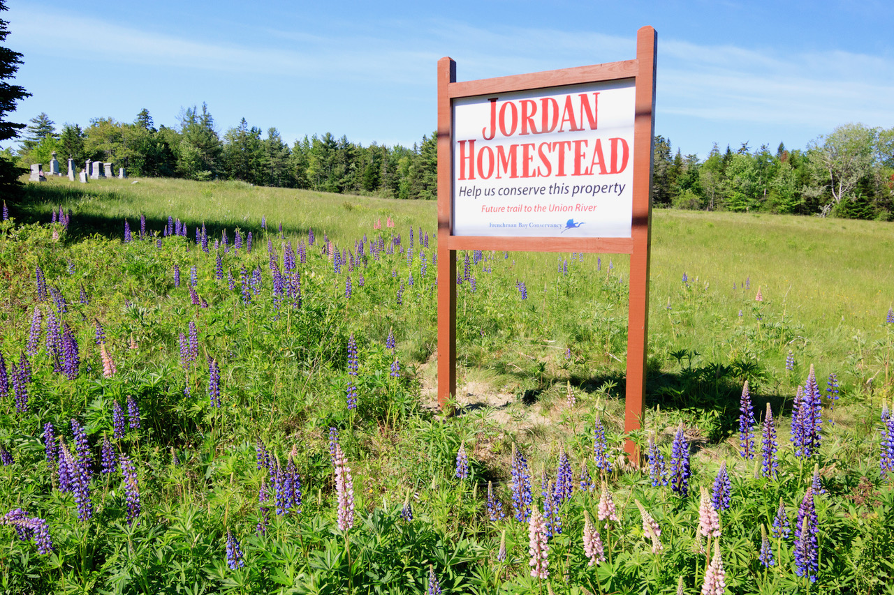 Protecting an Ellsworth Legacy Frenchman Bay Conservancy
