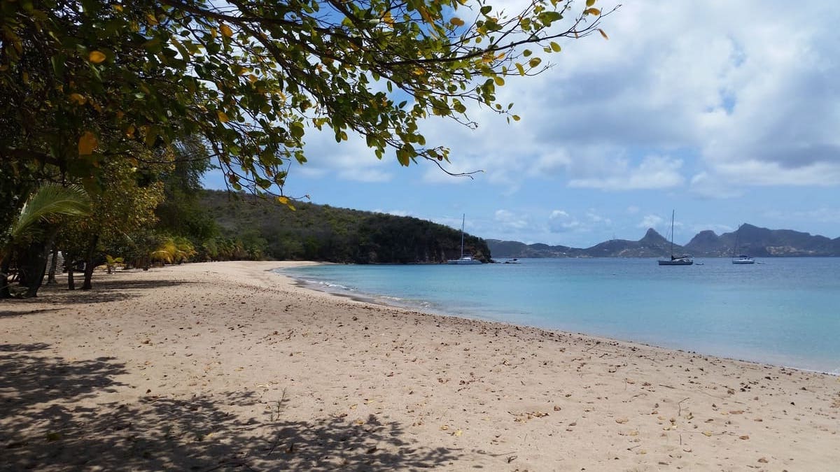 Is French And Creole The Same?