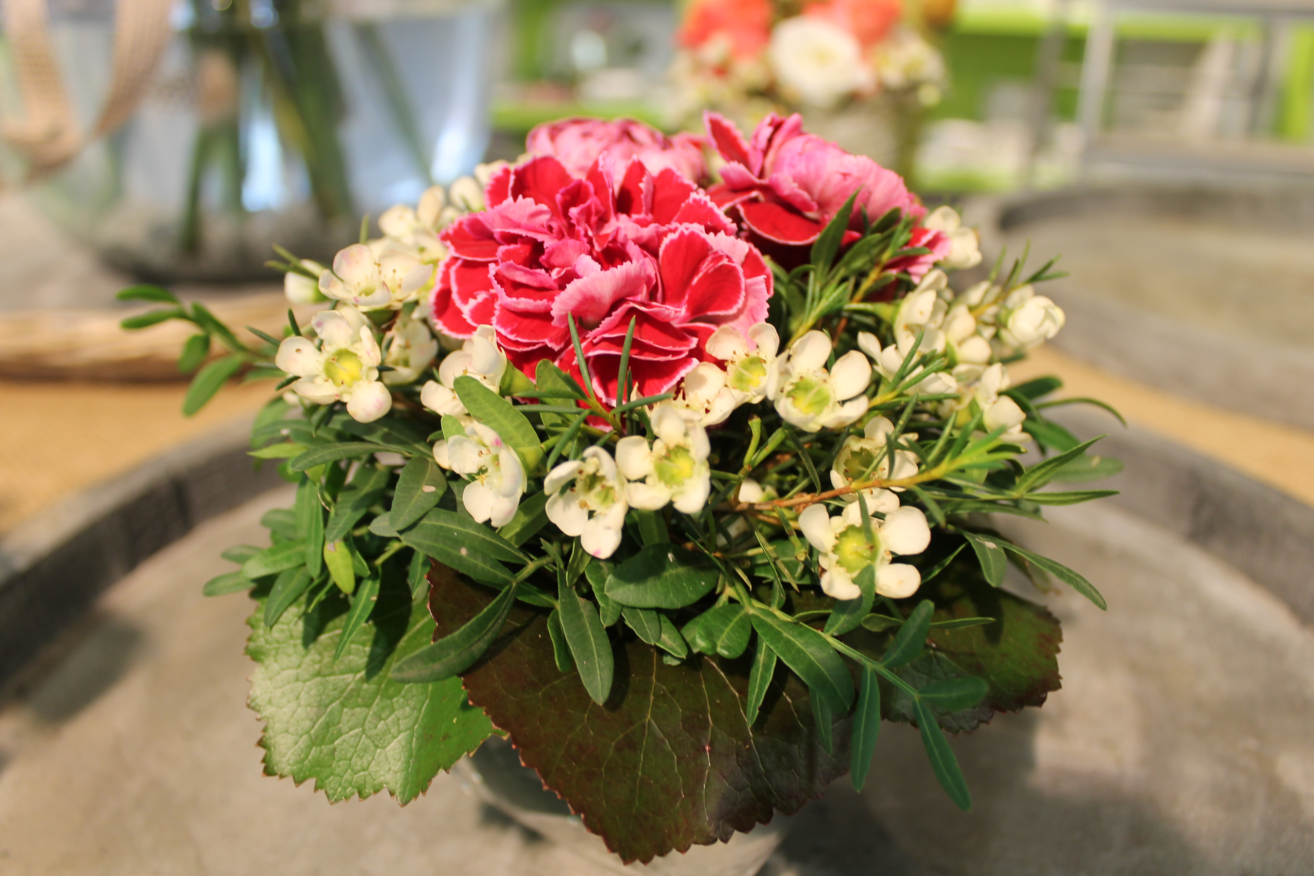 Floristik Frenzel Gärtnerei & Blumenhaus