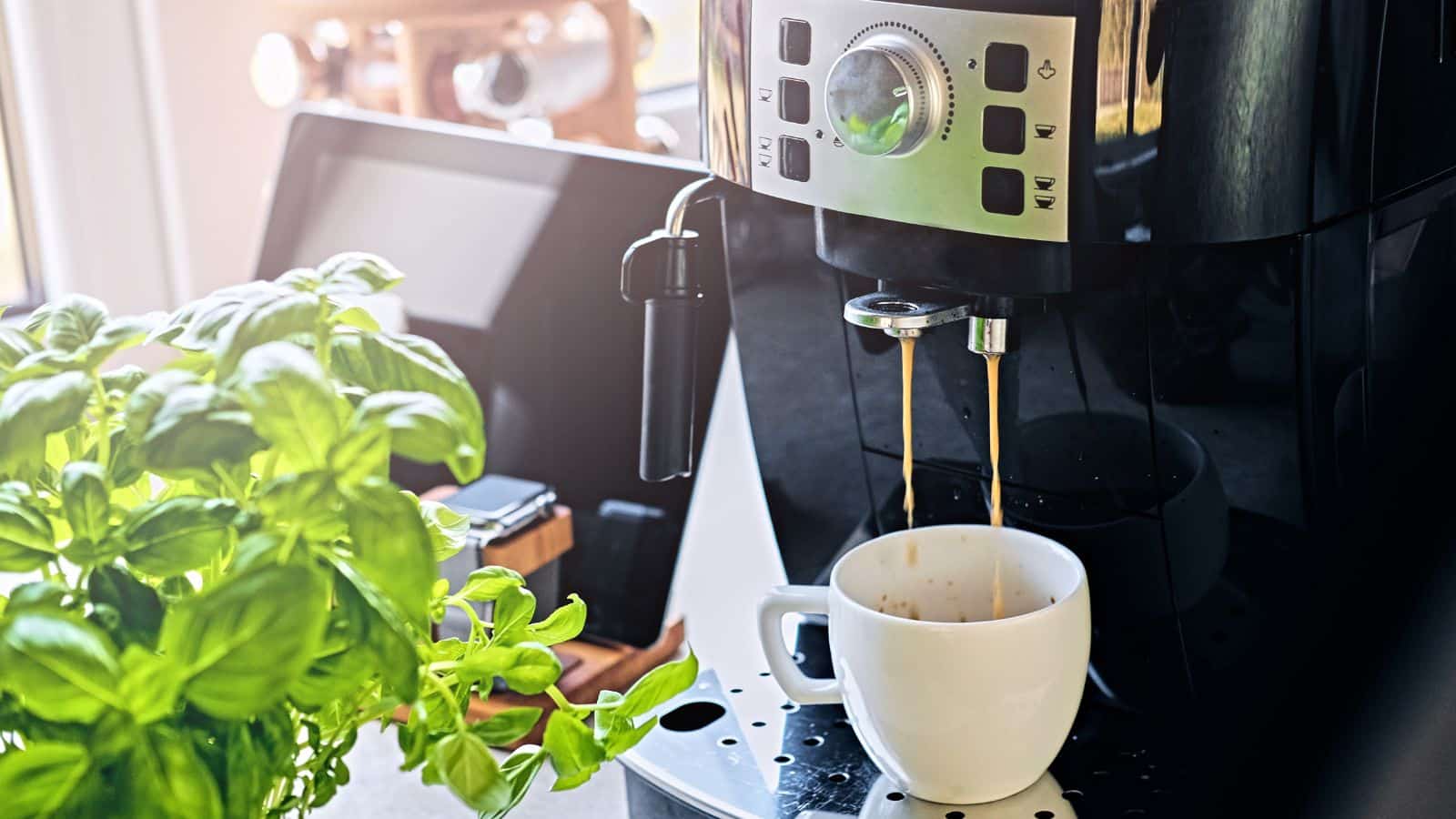 Don't Toss It Yet! How to Keep Your Nespresso Machine Running Strong