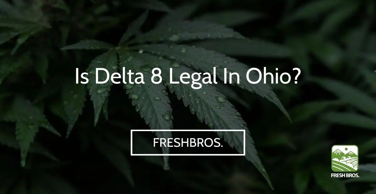 Is Delta 8 Legal in Ohio? Fresh Bros Hemp Company CBD/Hemp Products