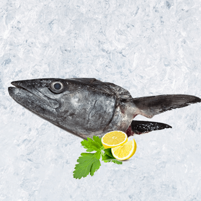 Buy Fresh King Fish Head Online FreshCatch