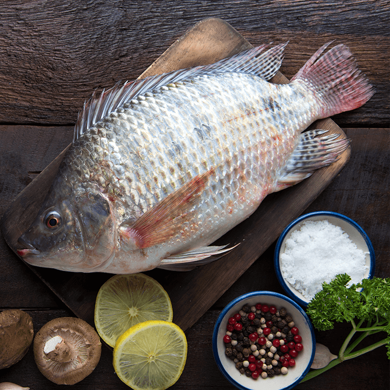 Tilapia FreshCatch