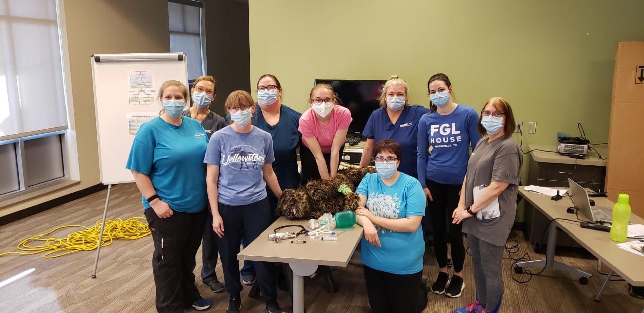 Low Cost Spay Neuter Clinic • Brownsburg • Fresh Chalk