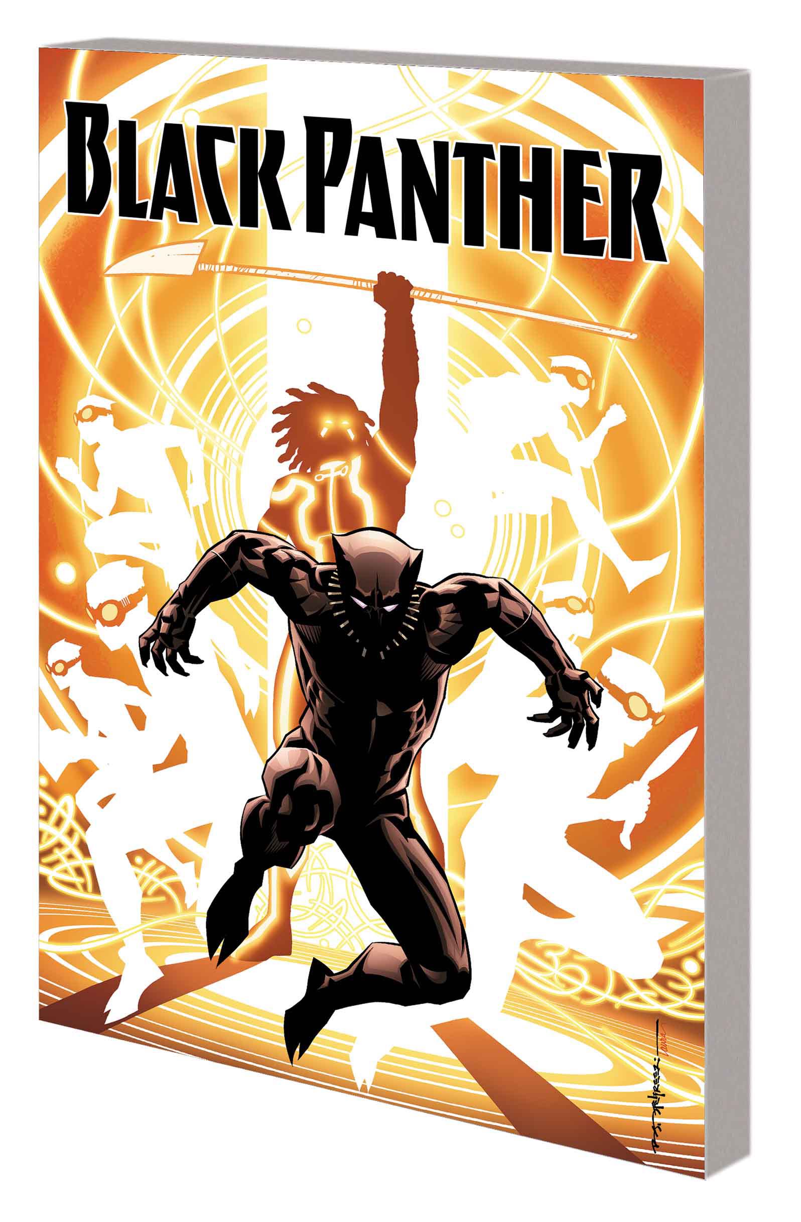 Black Panther Book 2 The Nation Under Our Feet Fresh Comics