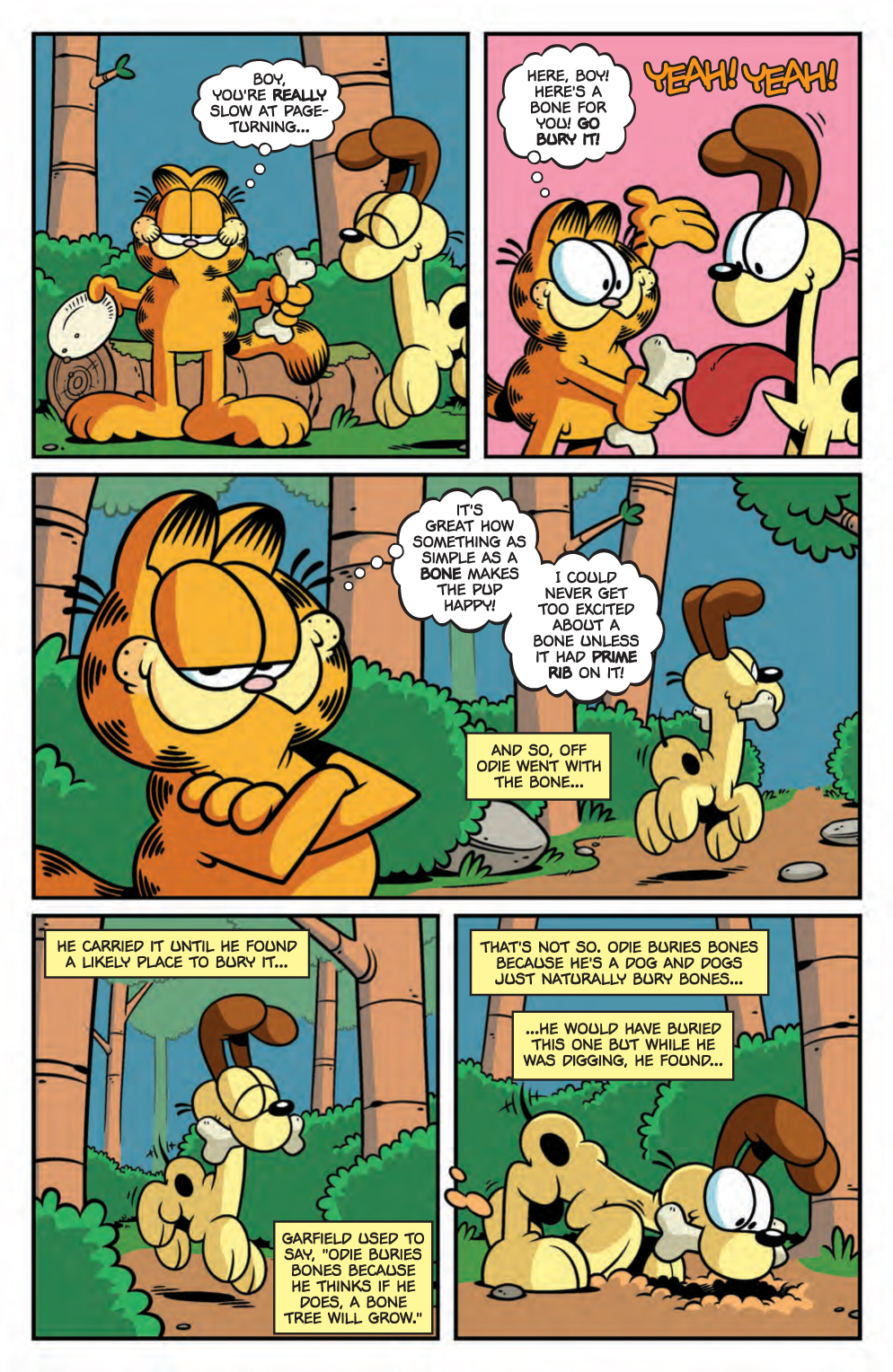 Garfield 28 Fresh Comics
