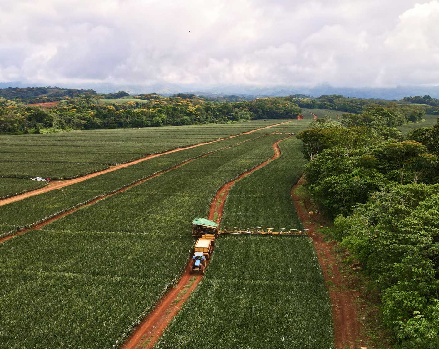 Our Approach Fresh Del Monte