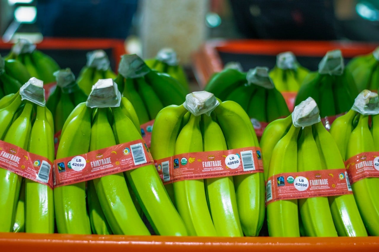 Fresh Del Monte Aims to Sell Fairtrade Certified Organic Bananas in the