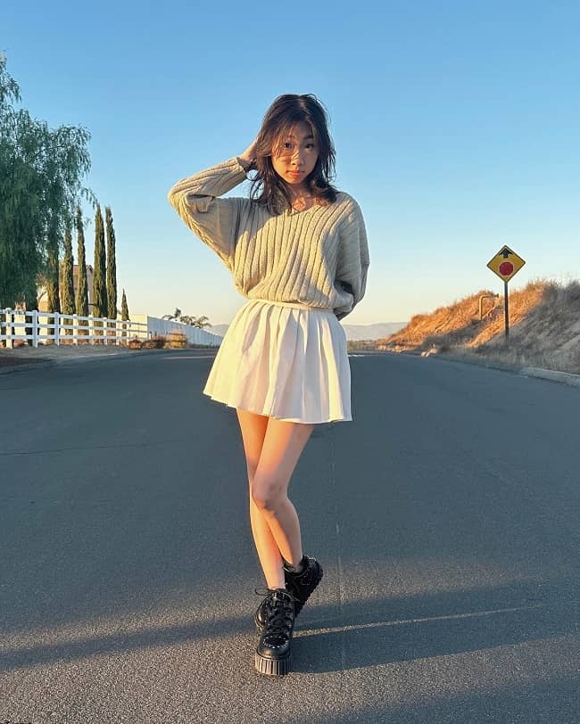 Lanoexe - Bio, Age, Height, Net Worth, Facts, Nationality